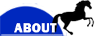 About Button on