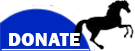 Donate Button on
