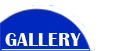 Settlers Gallery
