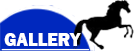 Gallery Button on
