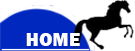 Home button active
