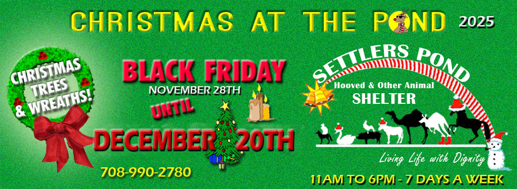 Settlers Pond Christmas Masthead